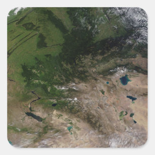 The change in vegetation square sticker