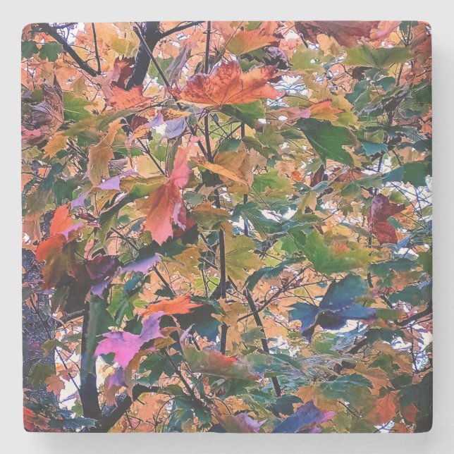 The change into Autumn leaves Stone Coaster (Front)
