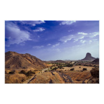 The charming beauty of desert nature under a blue