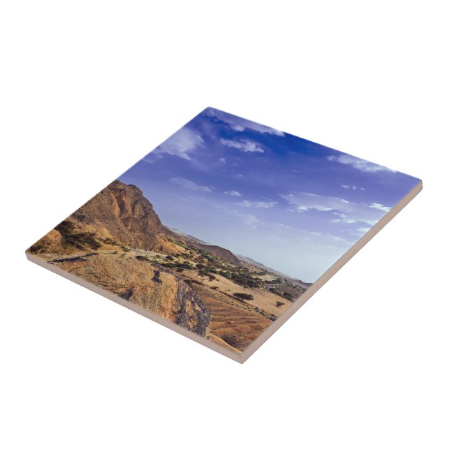 The charming beauty of desert nature under a blue  tile (Side)