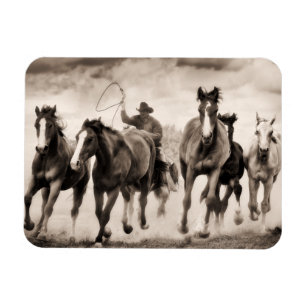The Chase I Magnet