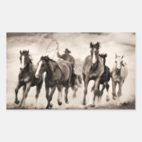 The Chase I