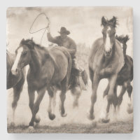 The Chase I