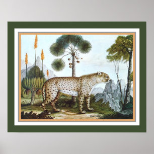 "The Cheetah" 1886 by Aloys Zotl Poster