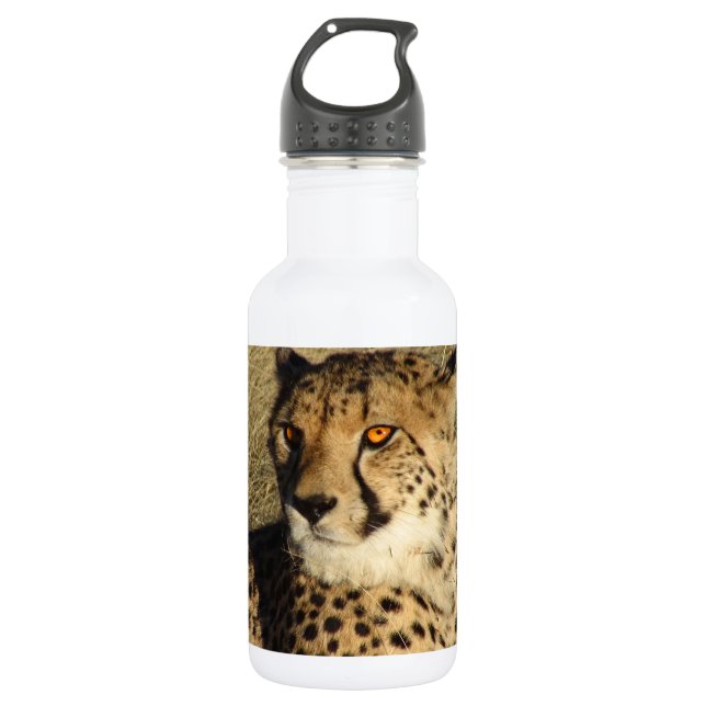 The Cheetah 532 Ml Water Bottle (Front)