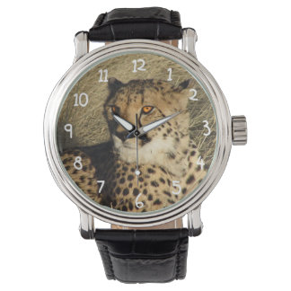 The Cheetah Watch