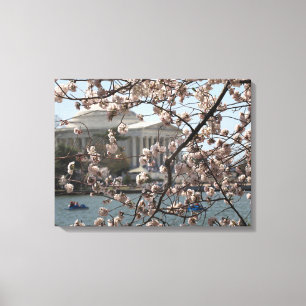 The Cherry Blossoms In Bloom In Washington DC Canvas Print