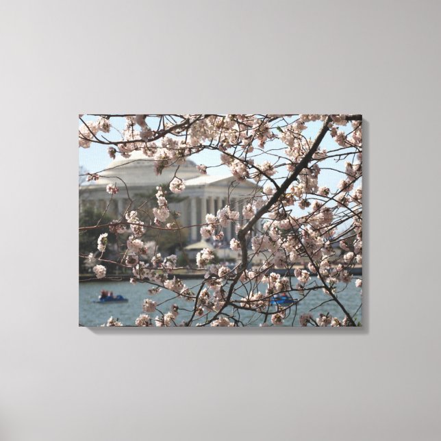 The Cherry Blossoms In Bloom In Washington DC Canvas Print (Front)