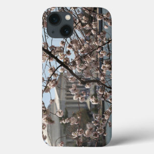 The Cherry Blossoms In Bloom In Washington DC iPhone 13 Case