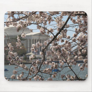 The Cherry Blossoms In Bloom In Washington DC Mouse Mat
