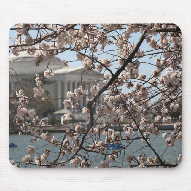 The Cherry Blossoms In Bloom In Washington DC Mouse Mat (Front)