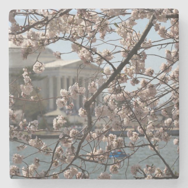 The Cherry Blossoms In Bloom In Washington DC Stone Coaster (Front)