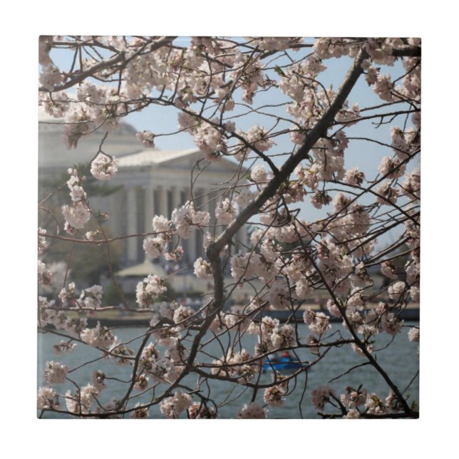 The Cherry Blossoms In Bloom In Washington DC Tile (Front)
