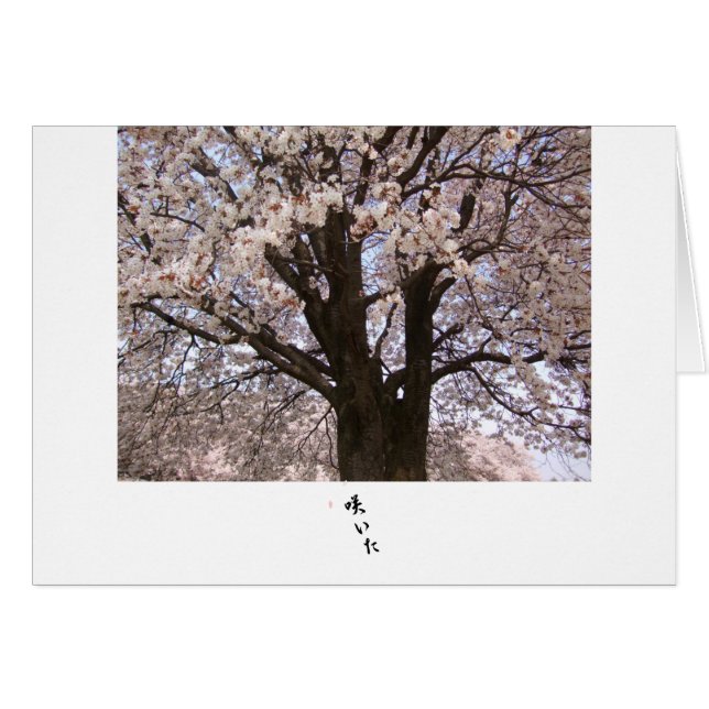The cherry tree in Japan 1 (Front Horizontal)