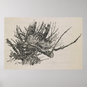 The Cheshire Cat in a tree  Arthur Rackham Poster