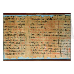 The Chester Beatty Medical Papyrus