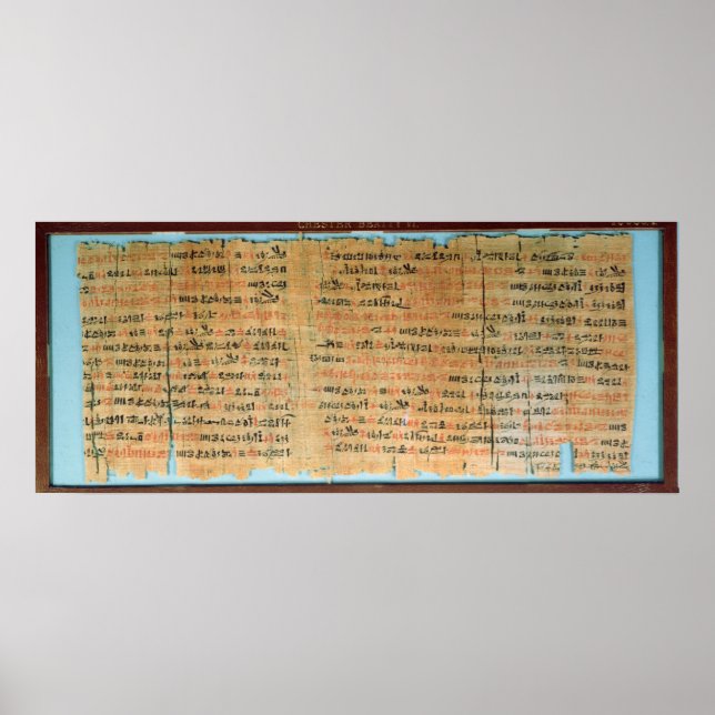 The Chester Beatty Medical Papyrus Poster (Front)