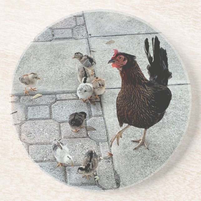 The Chick Coaster (Front)