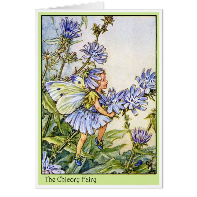 The Chicory Fairy (Front)