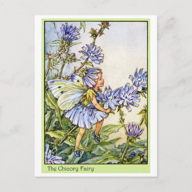 The Chicory Fairy Postcard (Front)