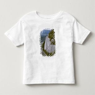 The "Chief" Arial View in Squamish Toddler T-Shirt