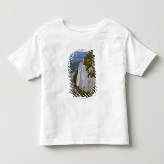 The "Chief" Arial View in Squamish Toddler T-Shirt