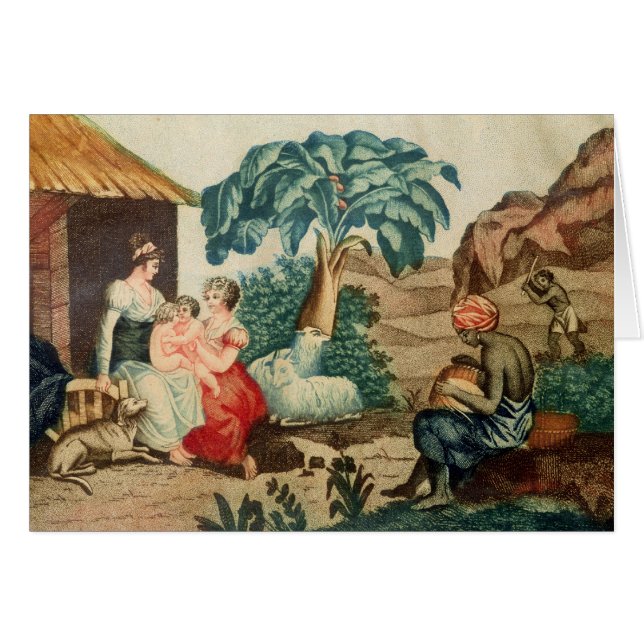 The Childhood of Paul and Virginie (Front Horizontal)