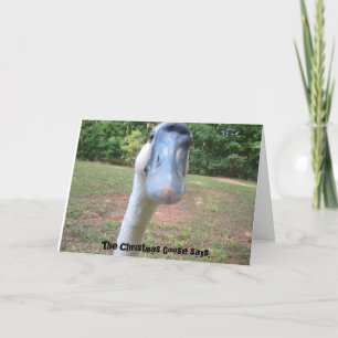 The Christmas Goose says, Holiday Card