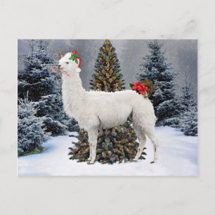 "The Christmas Llama" Postcard