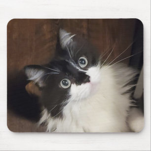 The Chronicles of Todd - Mouse Pad