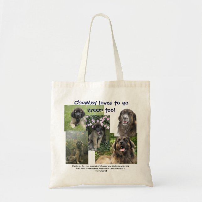 The Chumley's Fight Against FCE Totebag Tote Bag (Front)