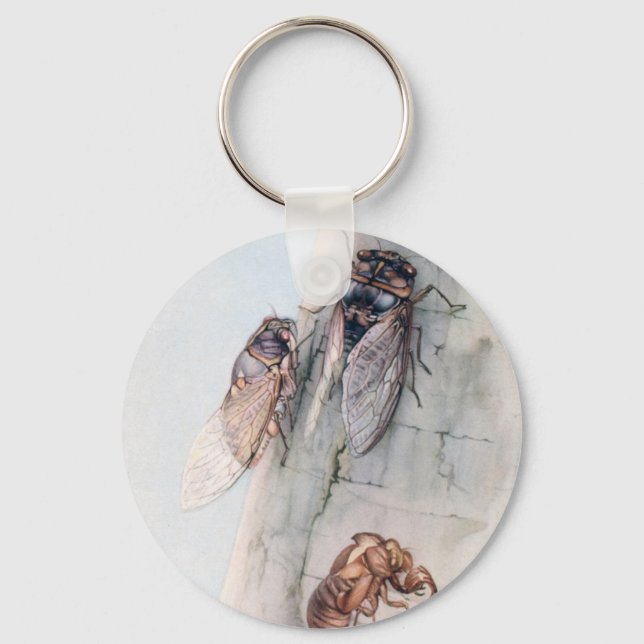 THE CICADA 2 KEY RING (Front)