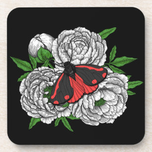 The cinnabar moth coaster