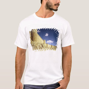 The city walls T-Shirt