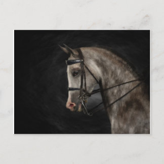 The Classy Arabian Postcard