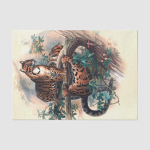 The Clouded Tiger by Joseph Wolf Tissue Paper