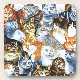 The Clowder of CATS Coaster