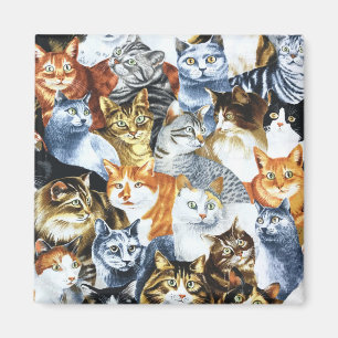 The Clowder of CATS Magnet