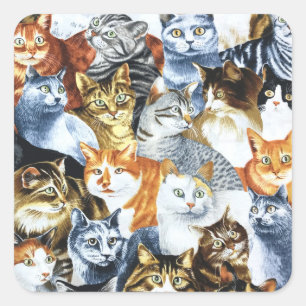 The Clowder of CATS Square Sticker