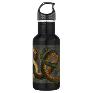 The Coachwhip Snake Water Bottle