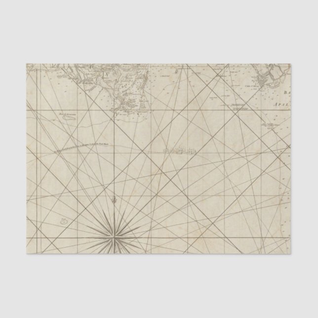 The Coast of West Florida and Louisiana Tissue Paper (Front)