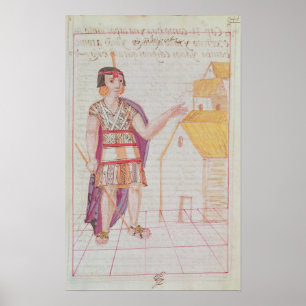 The Codice Murua Poster