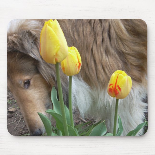 The Collie and The Tulips Mouse Mat (Front)
