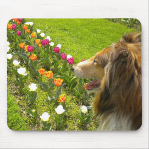 The Collie N More Tulips Mouse Pad