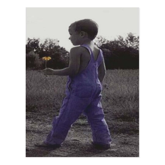 The Colour of Innocence Postcard