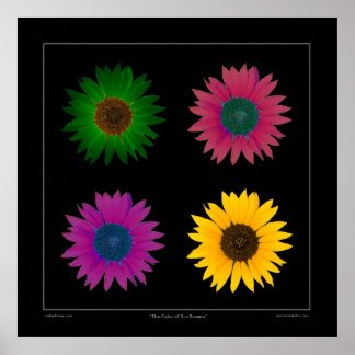 "The Colour of Sunflowers" Designer Poster on