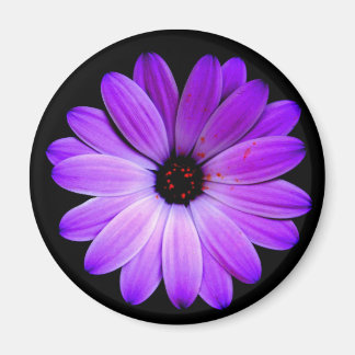 The colour purple. magnet