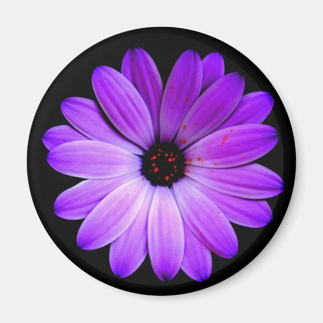 The colour purple. magnet (Front)