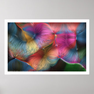 The Colours In Hair Poster