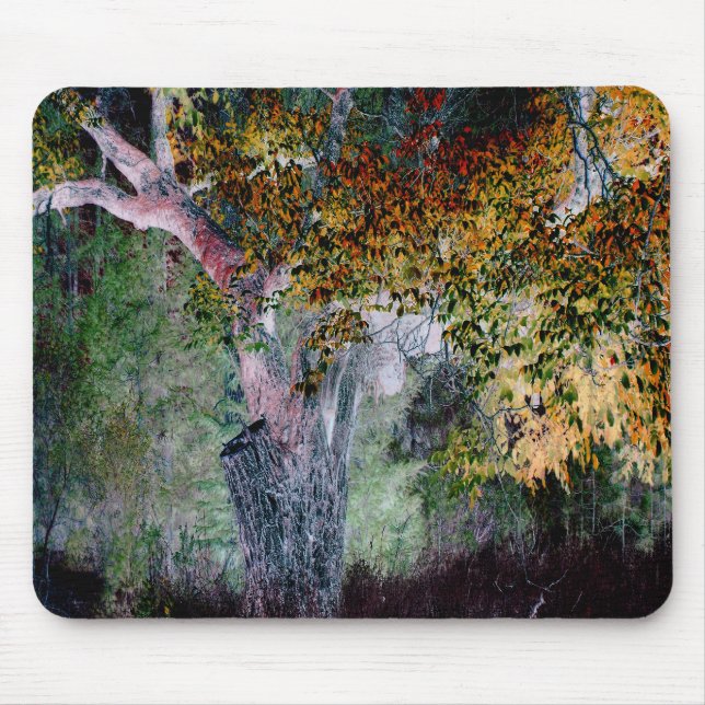 The Colours of Fall.... Mouse Mat (Front)